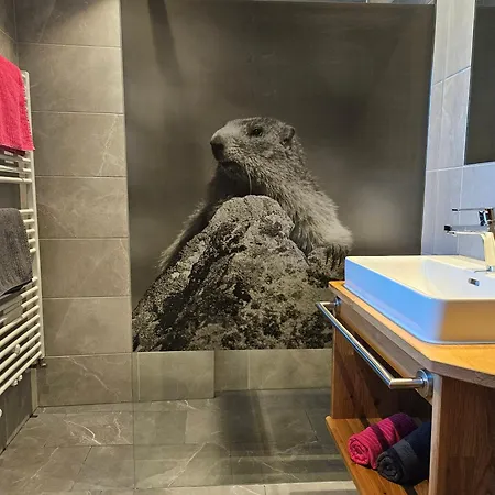 Apartament Alp-aren - Silvretta Card Premium Betrieb